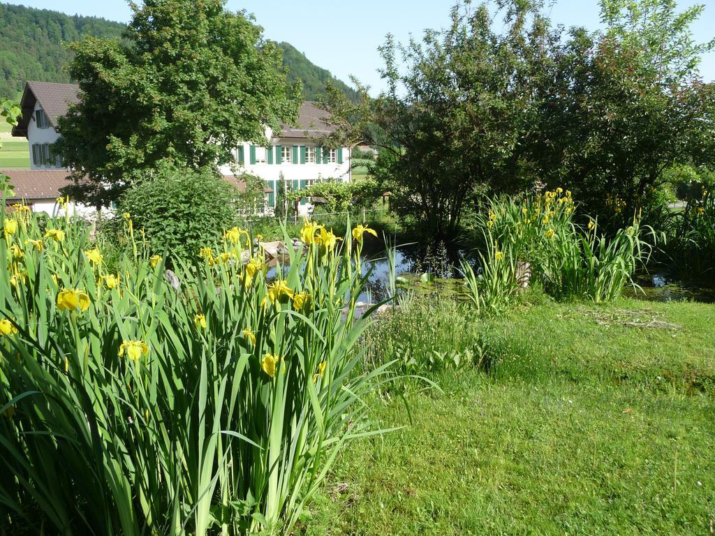 Gastehaus Zum Tulpenbaum Bed and Breakfast Turbenthal Exteriör bild