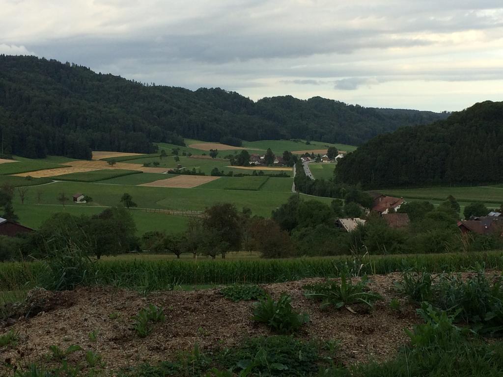 Gastehaus Zum Tulpenbaum Bed and Breakfast Turbenthal Exteriör bild